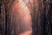 克罗地亚足球队最新世界排名是多少？实力究竟如何？