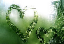 足球比分旧版新浪有哪些特点和回忆？